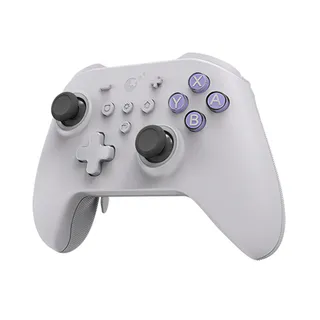 PC & Multi-Platform Gamepads